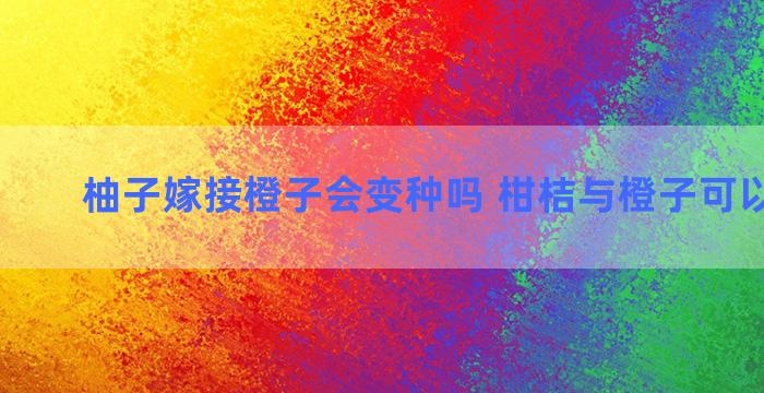 柚子嫁接橙子会变种吗 柑桔与橙子可以嫁接吗